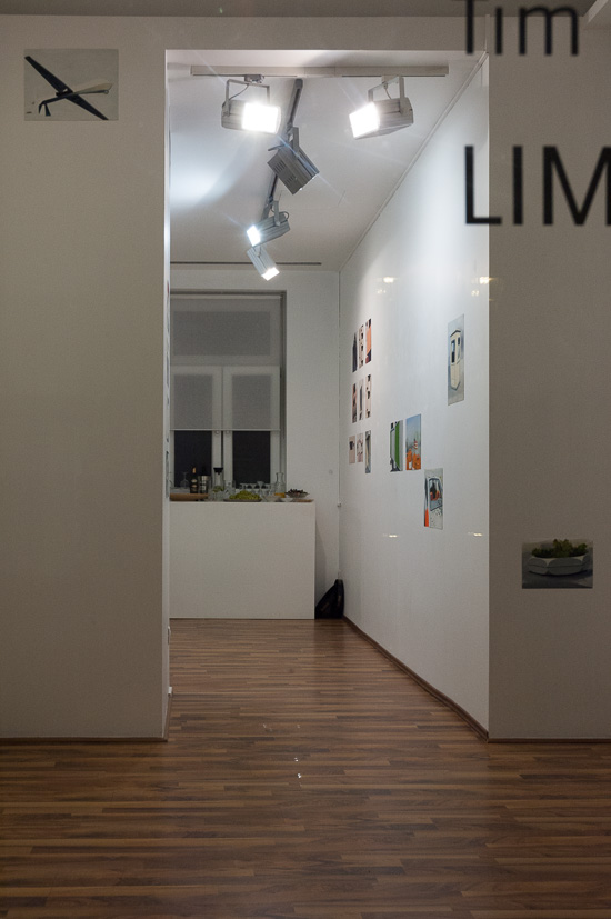 Tim Trantenroth: LIMITED SPACE